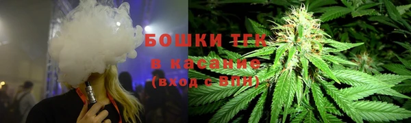 шишки Баксан