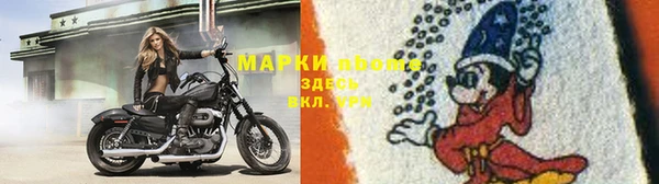 крисы Балахна